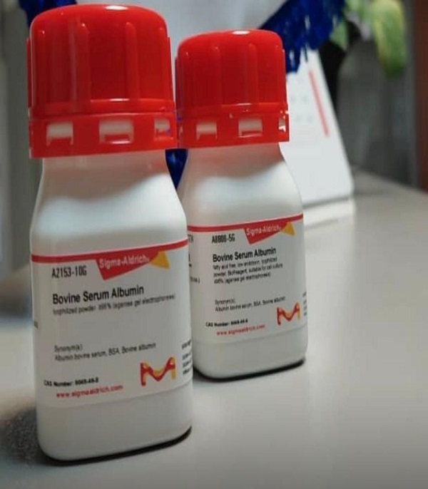 Bovine Serum Albumin بووین سرم آلبومین سیگماآلدریچ